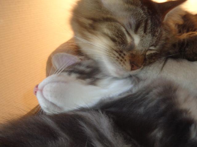 Maman toilette son dernier bibou...