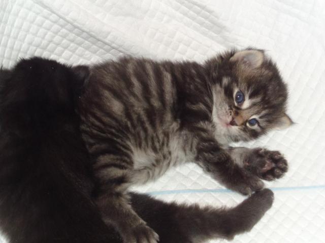 Vive la sieste!