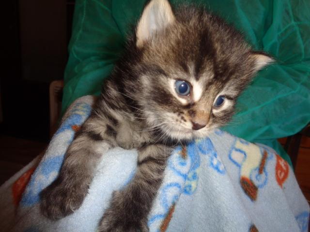 T'as de beaux yeux,Taho!