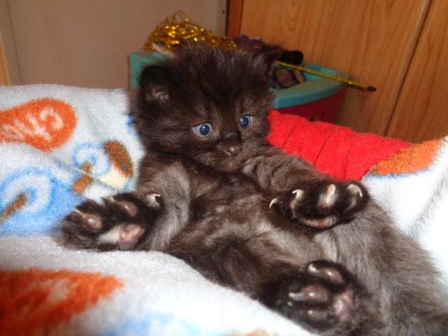 Attention, mon vernis sèche!
