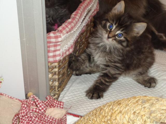 Prudence...