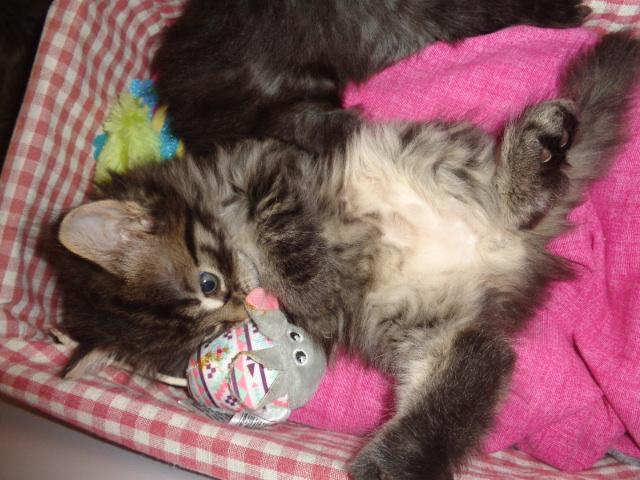 RELAX!