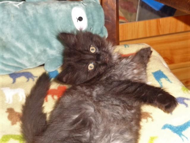 Jolie pose...