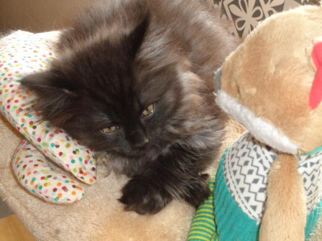 Bon...je m'en croise les pattes!