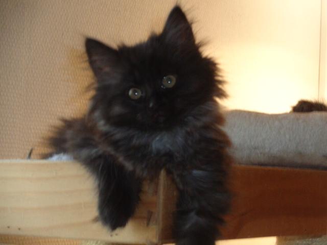 Ma doucette chérie!