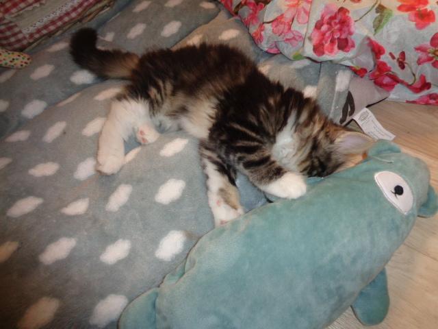 mon copain!