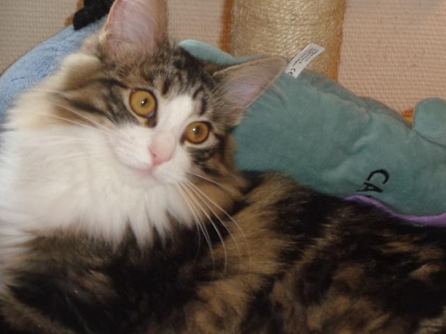 T'as d'beaux yeux, tu sais!