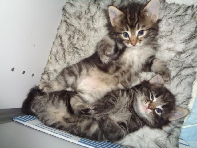 Que c'est doux!