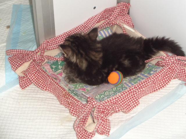 Abandonnéeee!!!