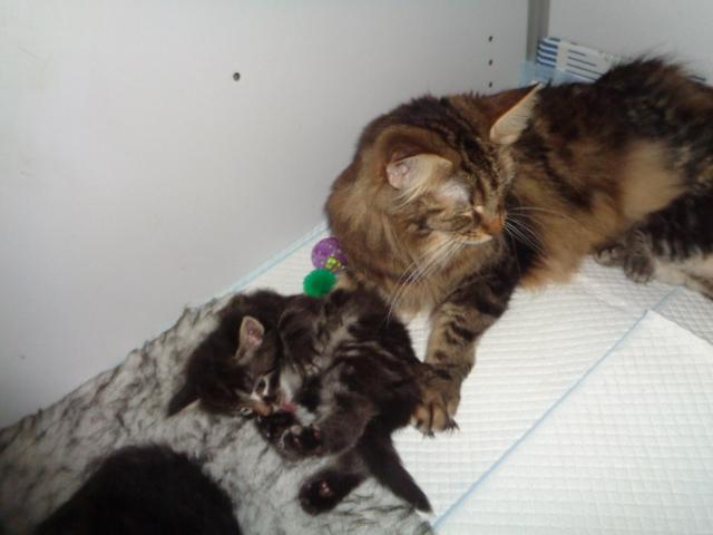 Fiston et Maman Prada!