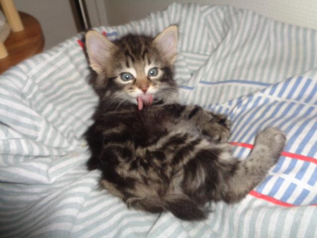 MOI, j'suis bien, na!