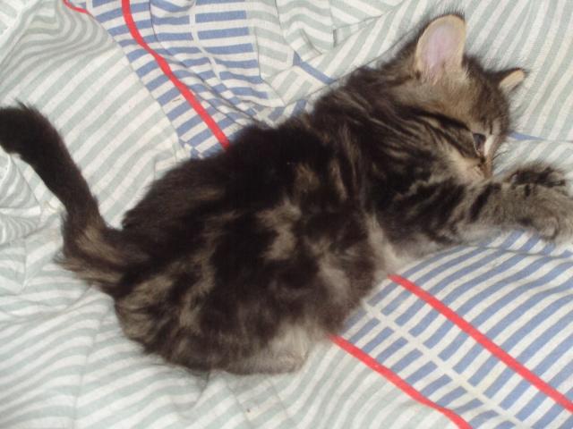 J'ai trouvé toute seule un chouette matelas, là!