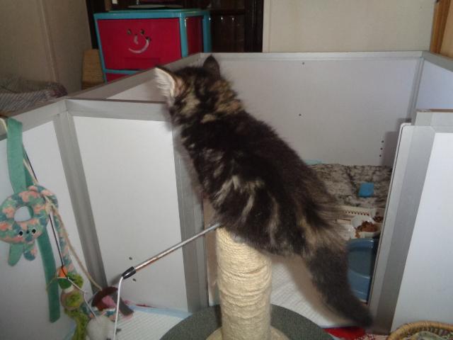 Equilibriste!!!