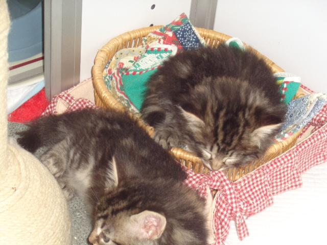 Plein sommeil!
