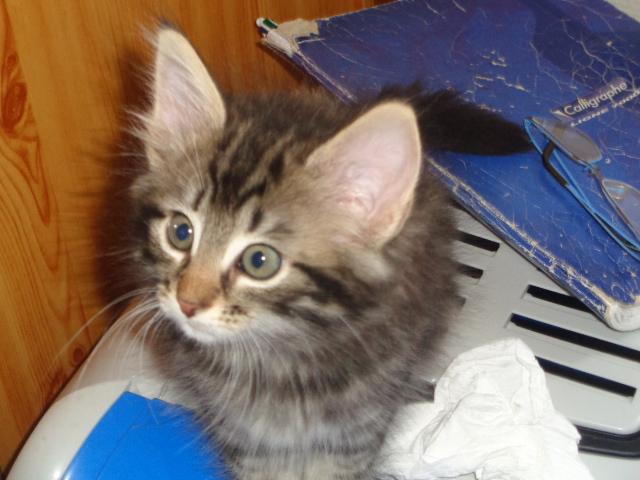 T'as de beaux yeux, tu sais!