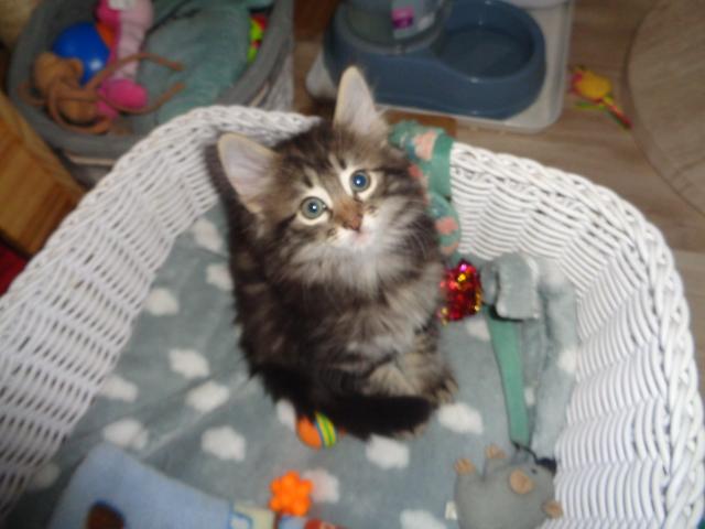 Ah les p'tits pois!Trop confort!