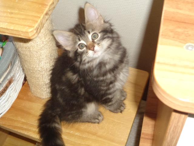 Coucou! Vous voyez mes grosses papattes?