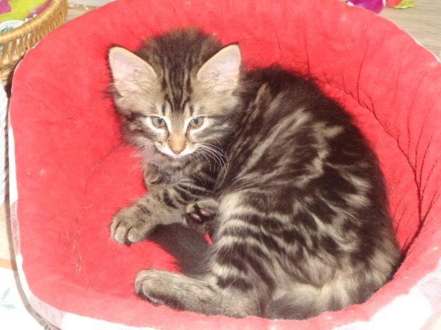 ULOTTE aux yeux doux...