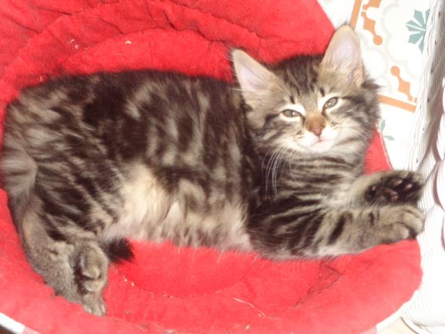 ULOTTE teste son coussin!