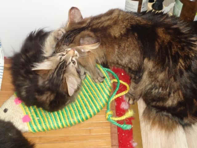 Maman vérifie ma toilette!! Non mais!