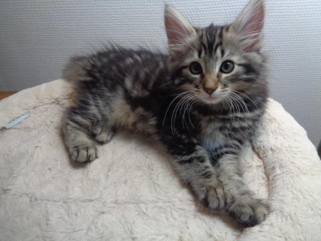 Hello, vous! je vous attends!