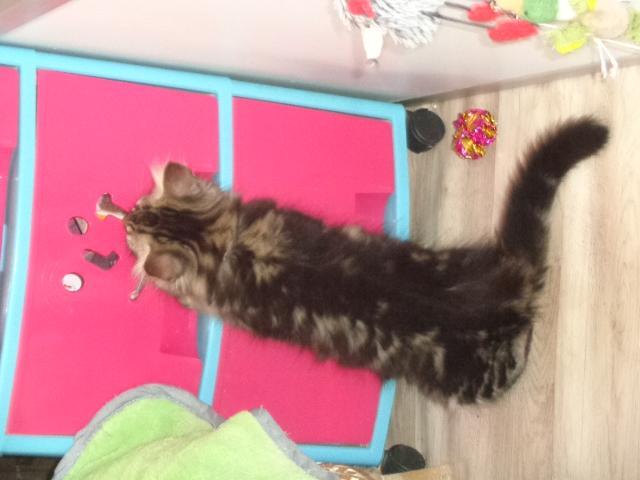 Flagrant délit...de travers!