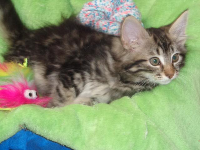 Trop doux...