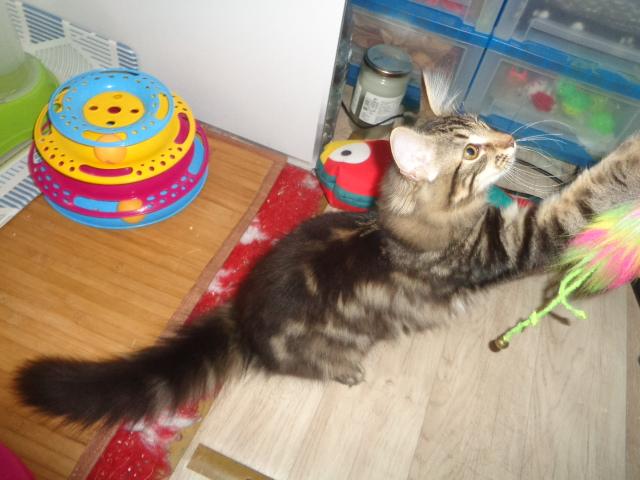 Chouette! une canne!