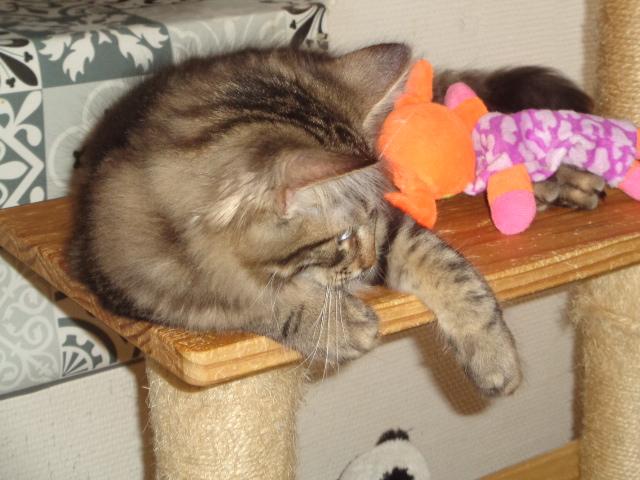Quelles papattes, Princesse!