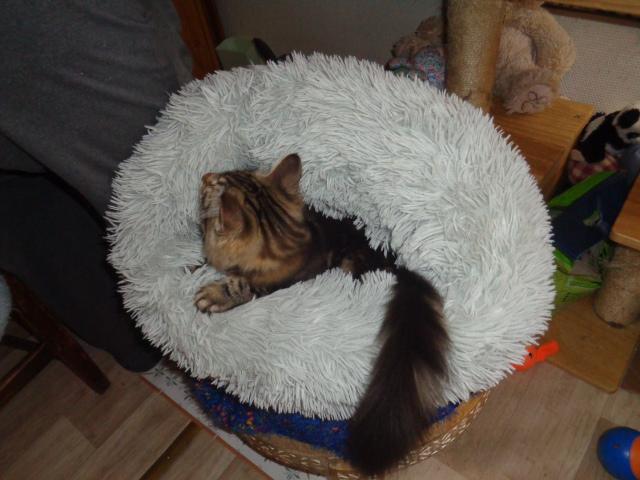 Oh hisse...j'arrive...ouf...