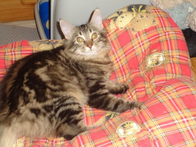 Diva au divan!