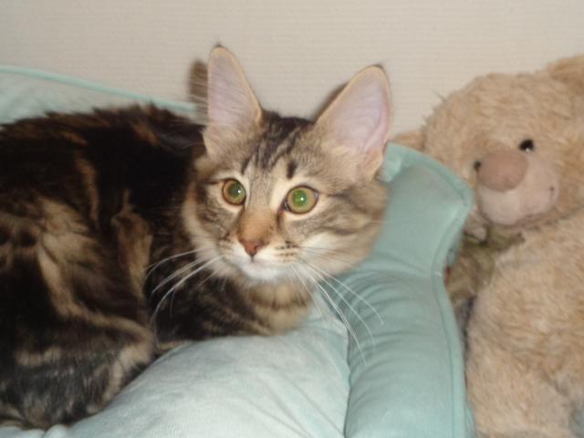 Coucou vous!