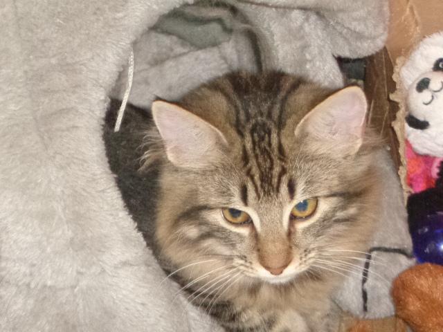 Bellissima!!