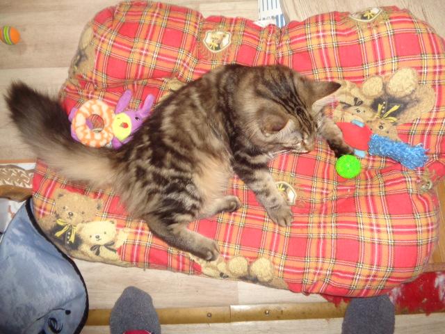 Tapis...de jeux!