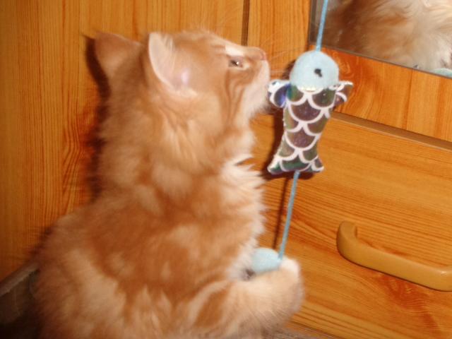 Belle prise!