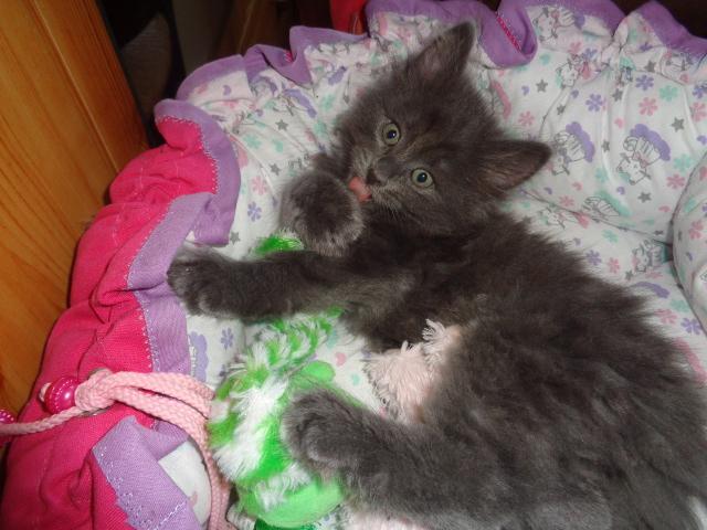 R'MINE et son doudou...(on fond!)